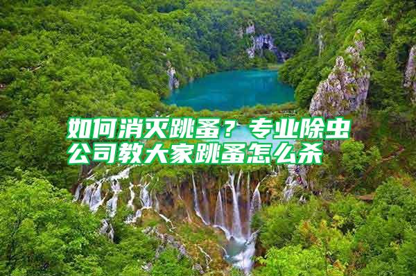 如何消滅跳蚤?專業(yè)除蟲公司教大家跳蚤怎么殺