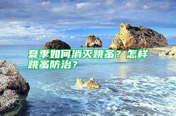 夏季如何消滅跳蚤？怎樣跳蚤防治？