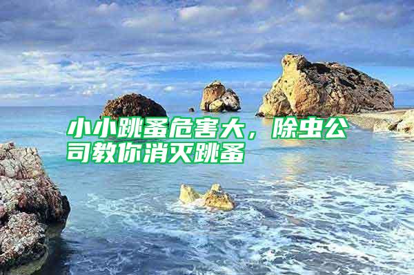 小小跳蚤危害大，除蟲(chóng)公司教你消滅跳蚤