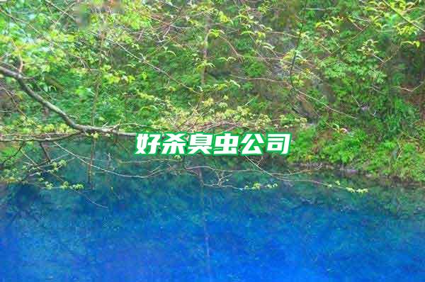 好殺臭蟲(chóng)公司