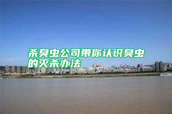 殺臭蟲公司帶你認(rèn)識(shí)臭蟲的滅殺辦法