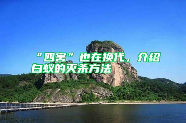 “四害”也在換代，介紹白蟻的滅殺方法