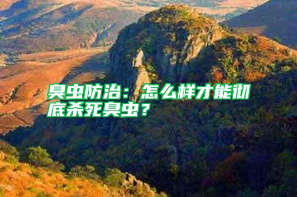 臭蟲(chóng)防治：怎么樣才能徹底殺死臭蟲(chóng)？