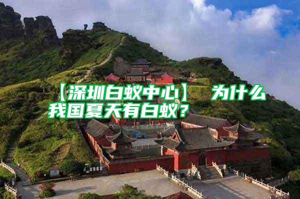 【深圳白蟻中心】 為什么我國(guó)夏天有白蟻？