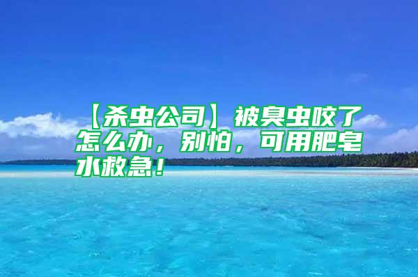 【殺蟲公司】被臭蟲咬了怎么辦，別怕，可用肥皂水救急！