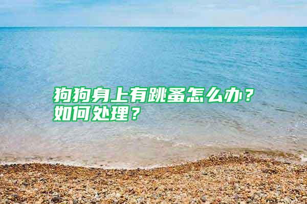 狗狗身上有跳蚤怎么辦？如何處理？