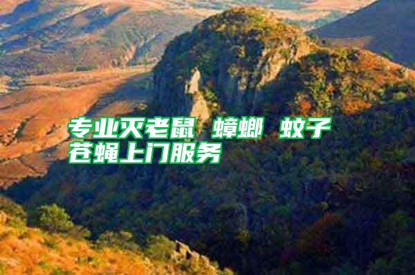 專業(yè)滅老鼠 蟑螂 蚊子 蒼蠅上門服務