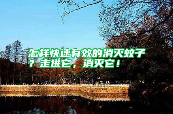 怎樣快速有效的消滅蚊子？走進它，消滅它！