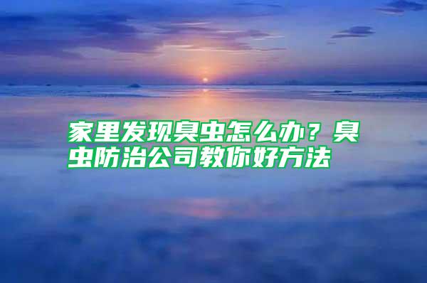 家里發(fā)現(xiàn)臭蟲怎么辦？臭蟲防治公司教你好方法