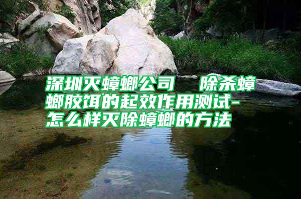 深圳滅蟑螂公司 除殺蟑螂膠餌的起效作用測(cè)試-怎么樣滅除蟑螂的方法