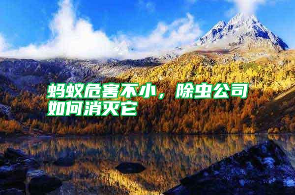 螞蟻危害不小，除蟲公司如何消滅它