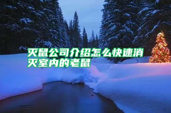 滅鼠公司介紹怎么快速消滅室內(nèi)的老鼠