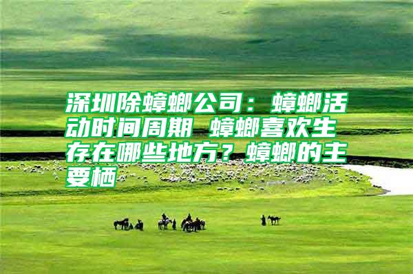 深圳除蟑螂公司:蟑螂活動(dòng)時(shí)間周期 蟑螂喜歡生存在哪些地方?蟑螂的主要棲