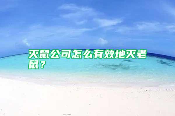滅鼠公司怎么有效地滅老鼠?