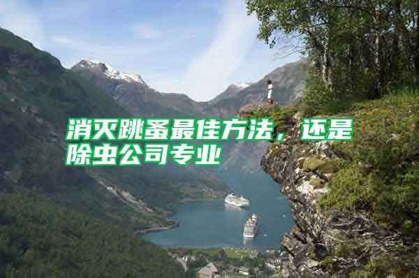 消滅跳蚤最佳方法，還是除蟲公司專業(yè)