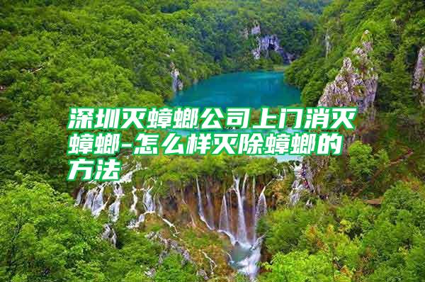 深圳滅蟑螂公司上門(mén)消滅蟑螂-怎么樣滅除蟑螂的方法