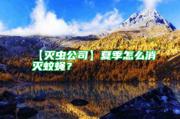 【滅蟲公司】夏季怎么消滅蚊蠅？
