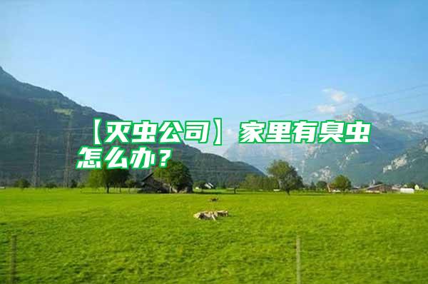 【滅蟲(chóng)公司】家里有臭蟲(chóng)怎么辦？