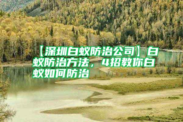 【深圳白蟻防治公司】白蟻防治方法，4招教你白蟻如何防治