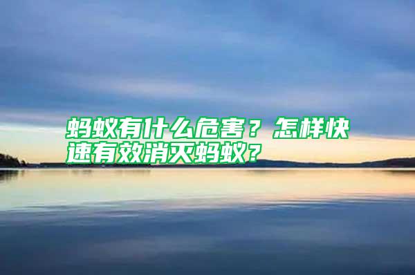 螞蟻有什么危害？怎樣快速有效消滅螞蟻？