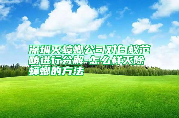深圳滅蟑螂公司對白蟻范疇進(jìn)行分解-怎么樣滅除蟑螂的方法