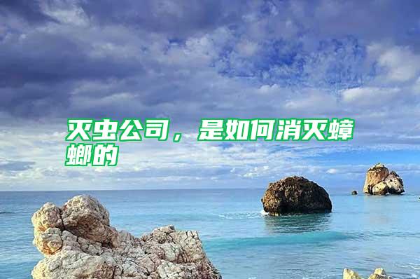 滅蟲(chóng)公司，是如何消滅蟑螂的