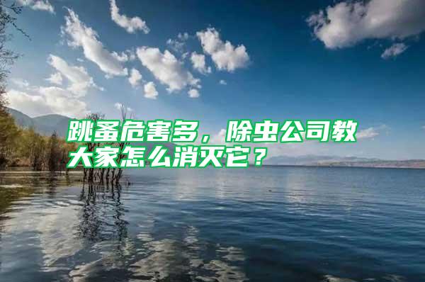 跳蚤危害多，除蟲公司教大家怎么消滅它？