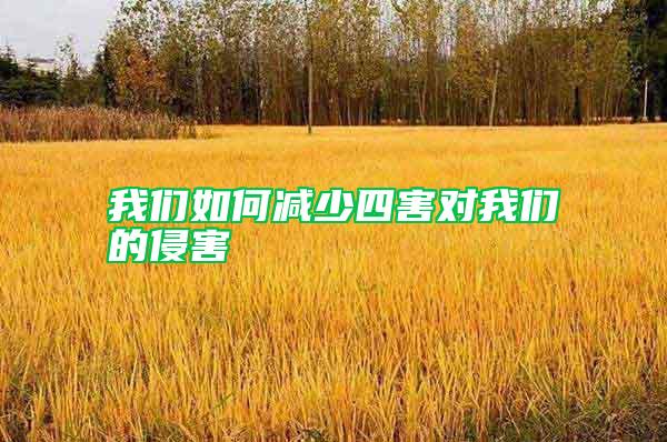 我們?nèi)绾螠p少四害對(duì)我們的侵害