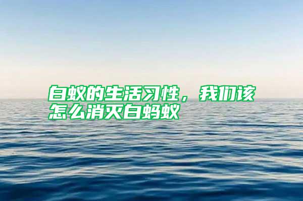 白蟻的生活習(xí)性，我們該怎么消滅白螞蟻