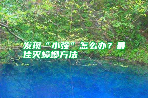 發(fā)現(xiàn)“小強”怎么辦？最佳滅蟑螂方法