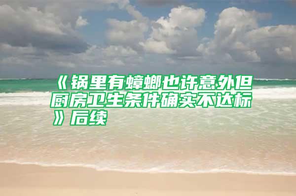 《鍋里有蟑螂也許意外但廚房衛(wèi)生條件確實(shí)不達(dá)標(biāo)》后續(xù)