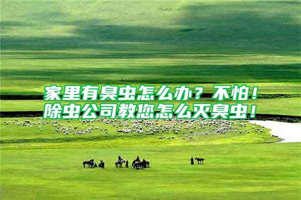 家里有臭蟲怎么辦？不怕！除蟲公司教您怎么滅臭蟲！