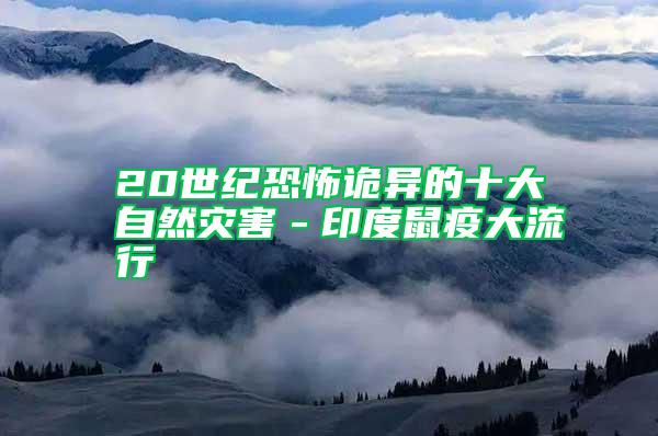 20世紀恐怖詭異的十大自然災(zāi)害-印度鼠疫大流行