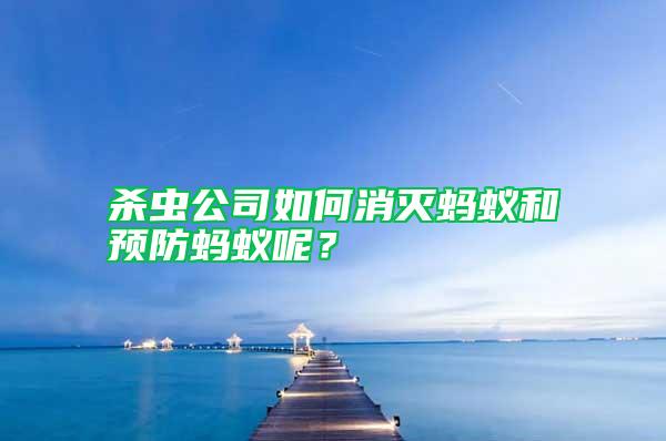 殺蟲公司如何消滅螞蟻和預(yù)防螞蟻呢？