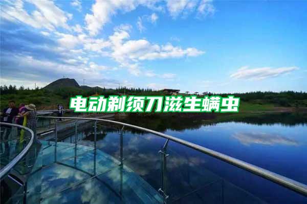 電動(dòng)剃須刀滋生螨蟲