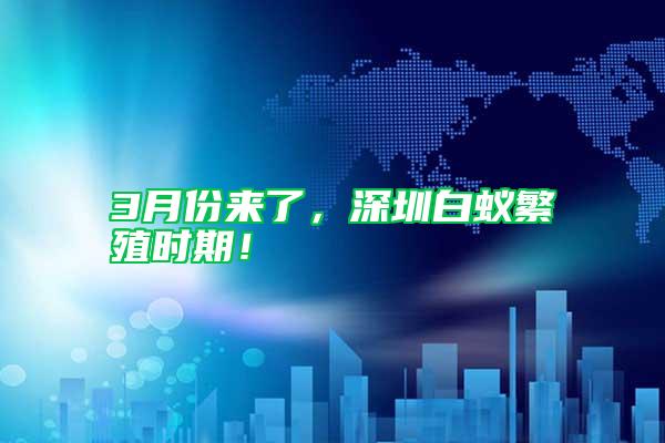 3月份來(lái)了，深圳白蟻繁殖時(shí)期！