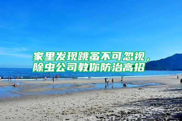 家里發(fā)現(xiàn)跳蚤不可忽視，除蟲公司教你防治高招