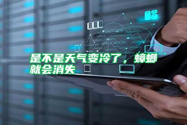 是不是天氣變冷了，蟑螂就會消失