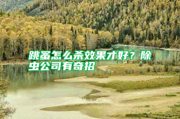 跳蚤怎么殺效果才好？除蟲公司有奇招