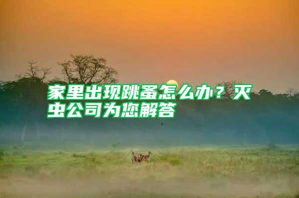 家里出現(xiàn)跳蚤怎么辦？滅蟲公司為您解答