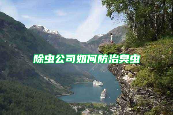 除蟲(chóng)公司如何防治臭蟲(chóng)