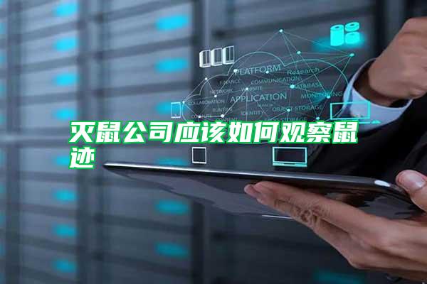 滅鼠公司應(yīng)該如何觀察鼠跡