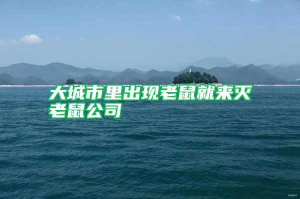大城市里出現(xiàn)老鼠就來滅老鼠公司
