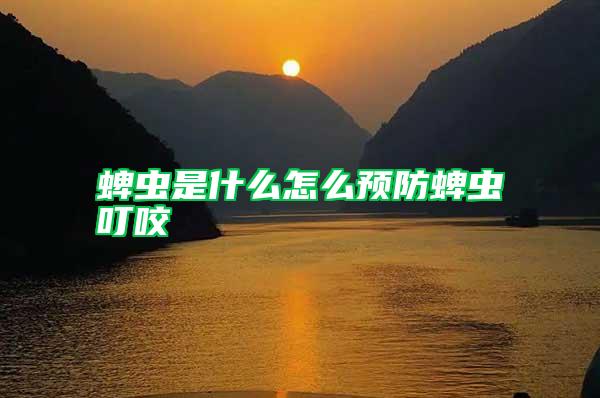 蜱蟲是什么怎么預(yù)防蜱蟲叮咬