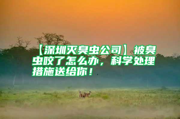 【深圳滅臭蟲公司】被臭蟲咬了怎么辦，科學(xué)處理措施送給你！