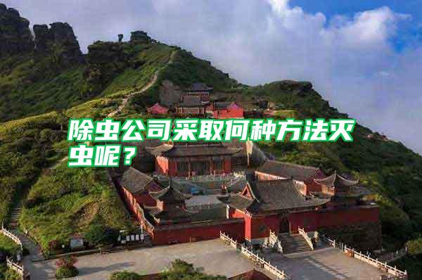 除蟲(chóng)公司采取何種方法滅蟲(chóng)呢？