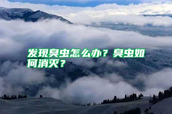 發(fā)現(xiàn)臭蟲怎么辦？臭蟲如何消滅？