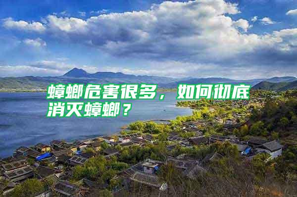 蟑螂危害很多，如何徹底消滅蟑螂？