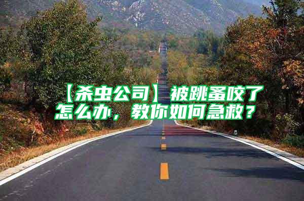 【殺蟲公司】被跳蚤咬了怎么辦，教你如何急救？