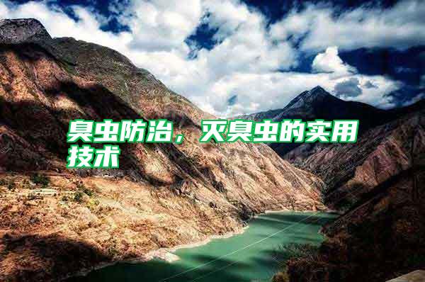 臭蟲(chóng)防治，滅臭蟲(chóng)的實(shí)用技術(shù)